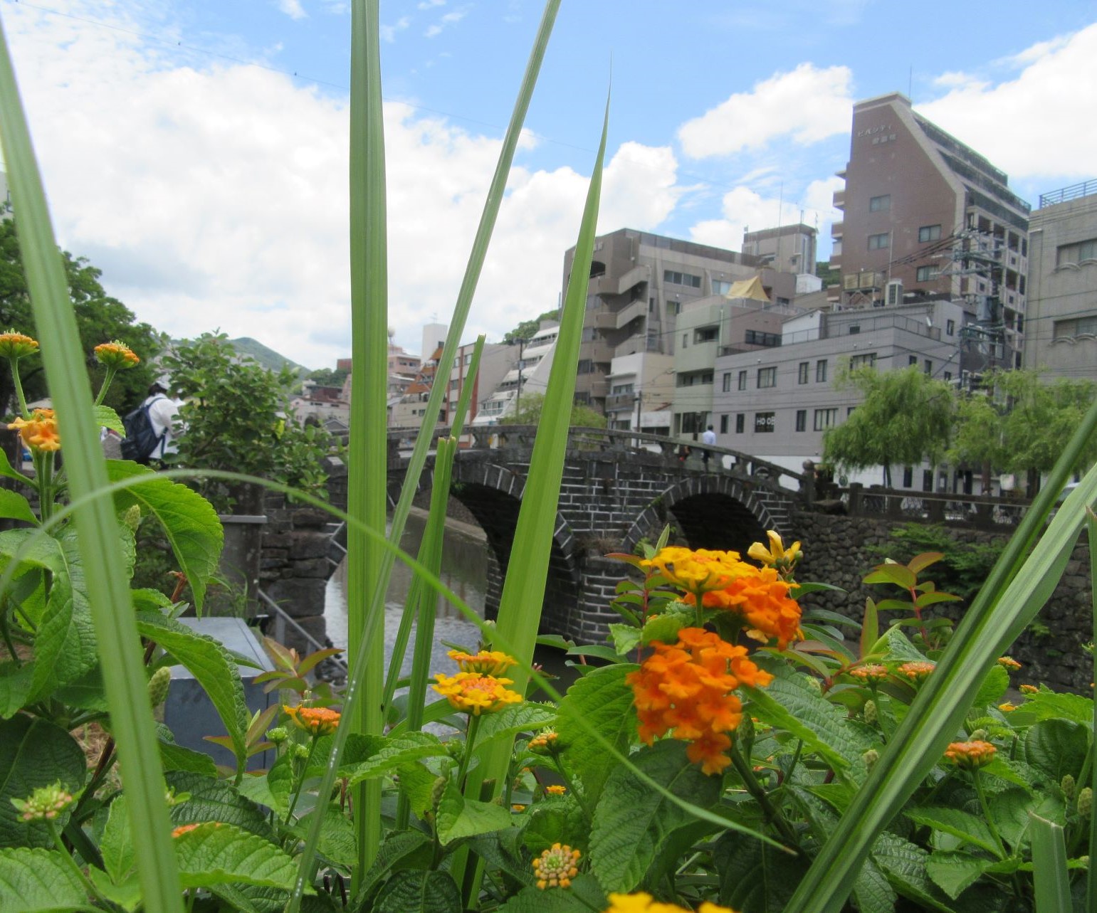 ランタナと思われる花と、眼鏡橋。