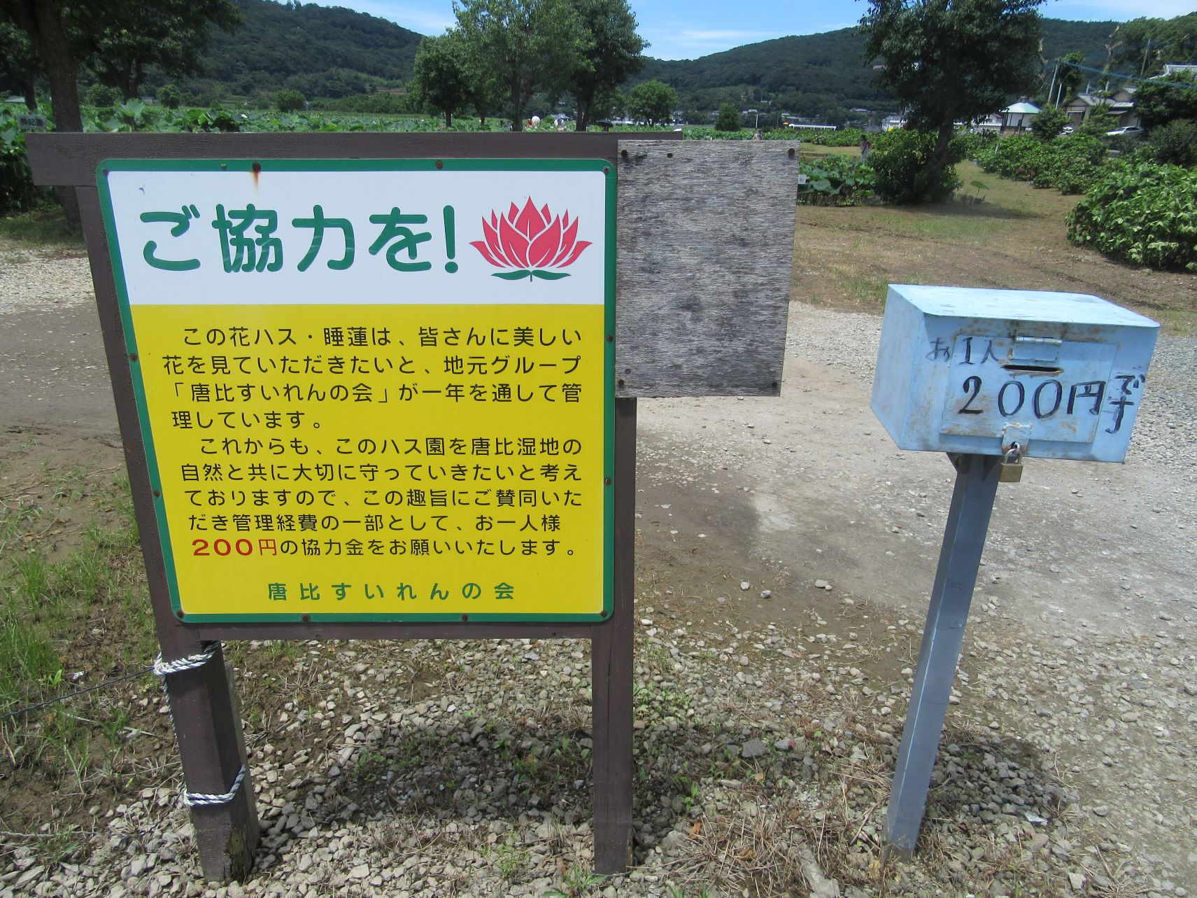 長崎県諫早市森山町にある唐比ハス園の協力金についての説明と、協力金を入れる箱。
