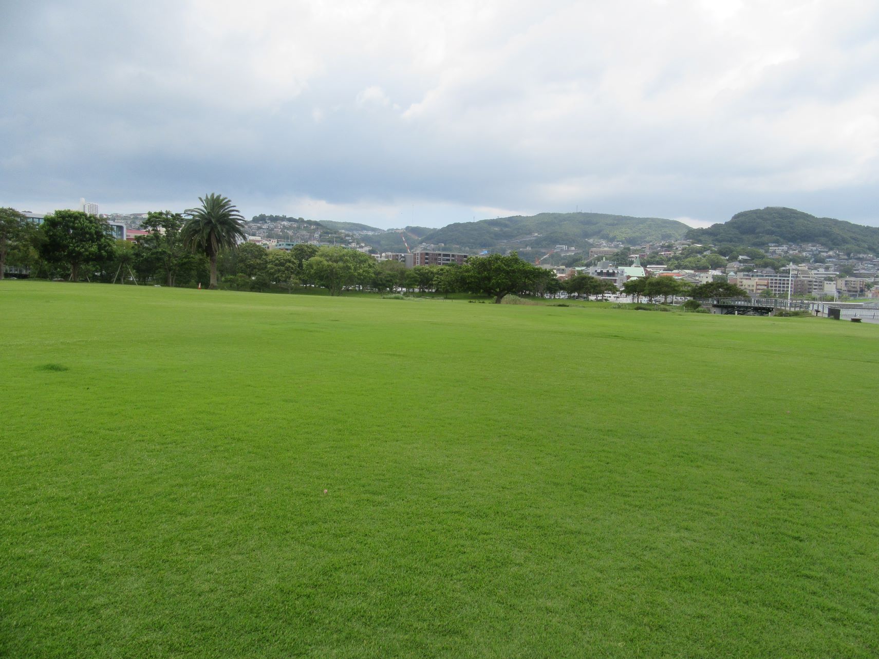 長崎市・長崎水辺の森公園の芝生。