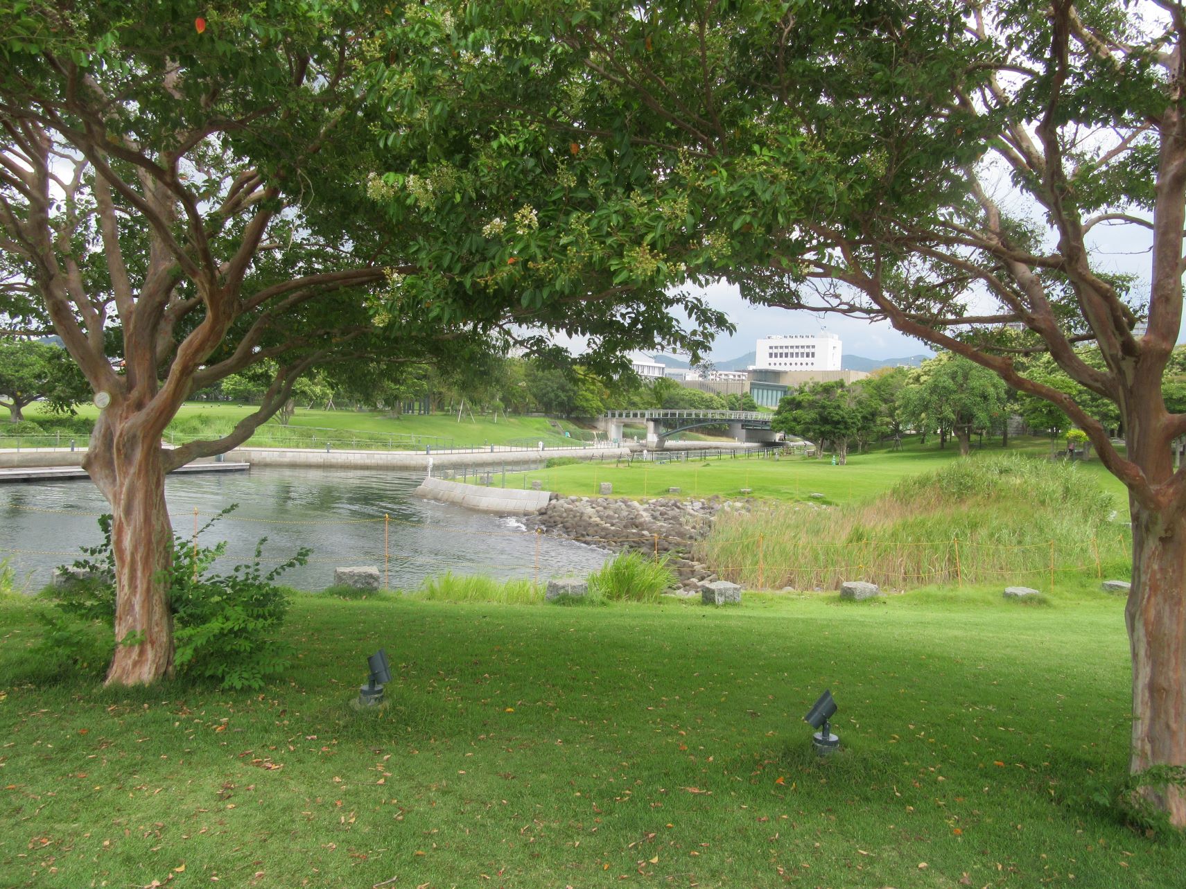 長崎市・長崎水辺の森公園の自然風景。