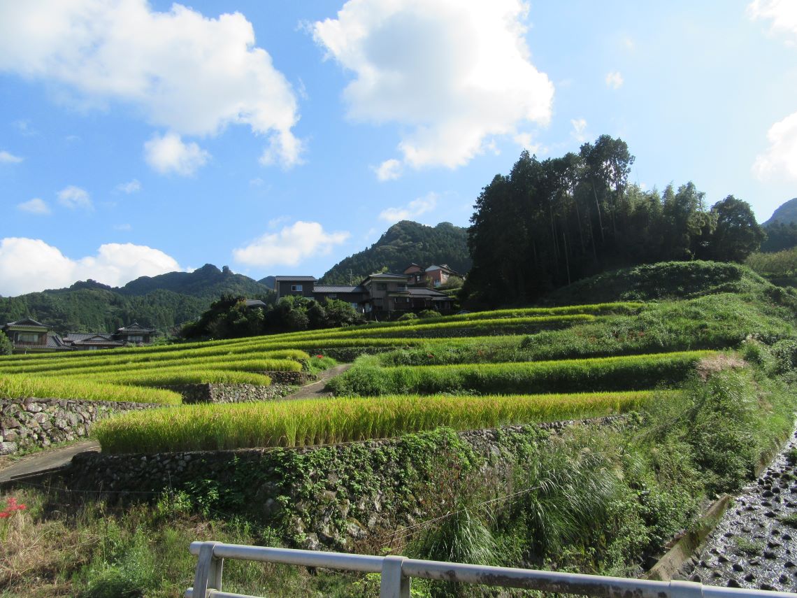 長崎県東彼杵郡波佐見町の鬼木棚田。