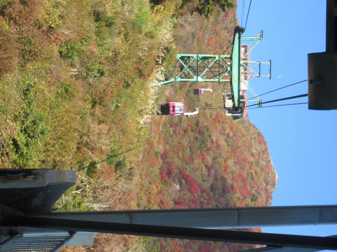 長崎県雲仙の紅葉などの写真。
