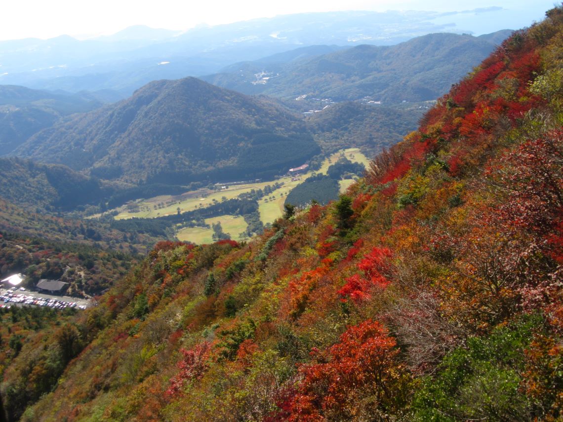 長崎県雲仙の紅葉などの写真。