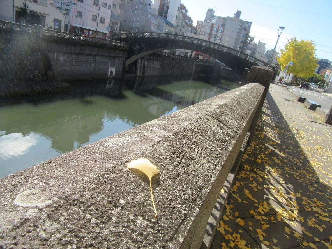 長崎市民会館周辺のイチョウの葉と、中島川。