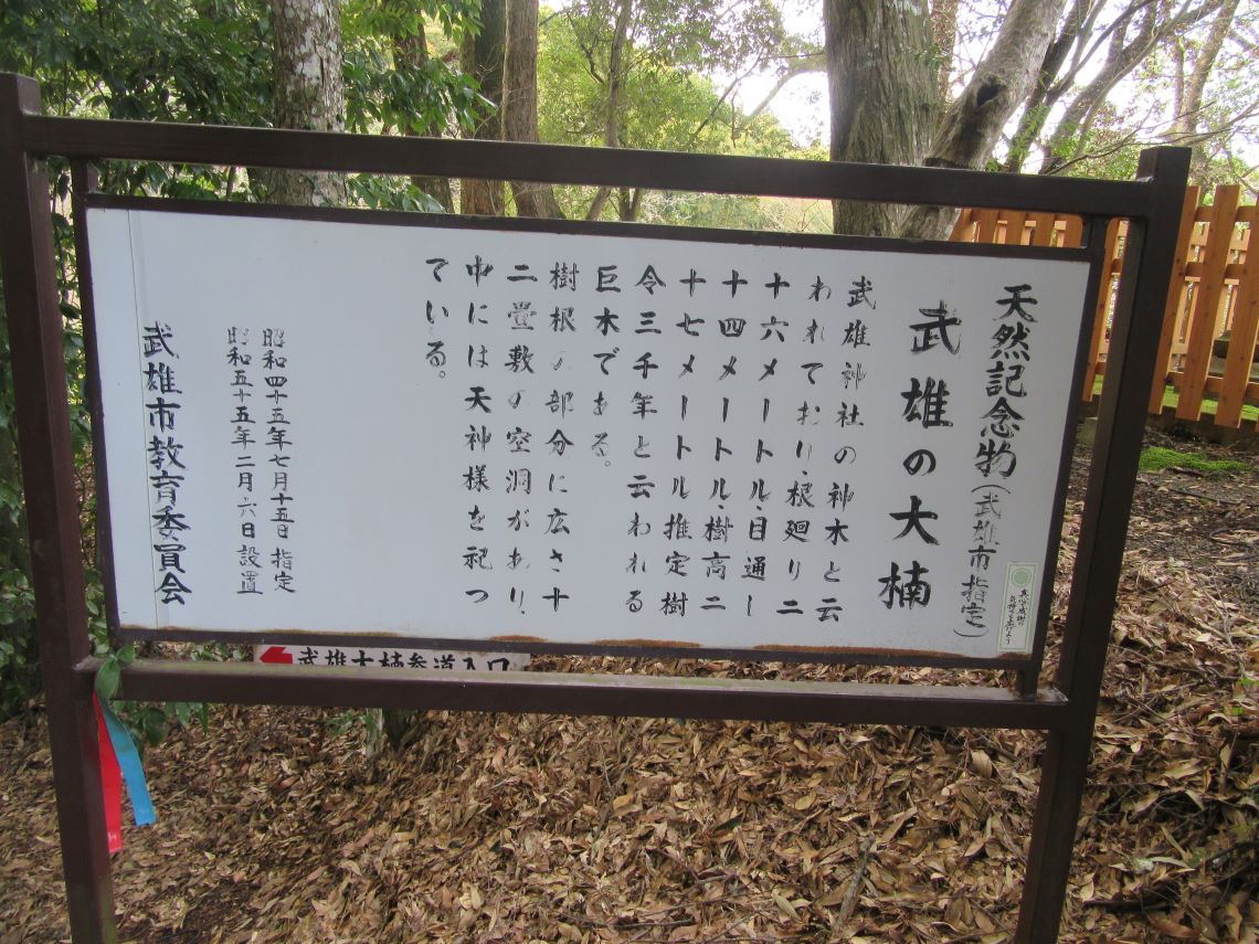 佐賀県武雄市にある武雄神社にある昭和55年(1980年)設置の武雄の大楠の説明看板。