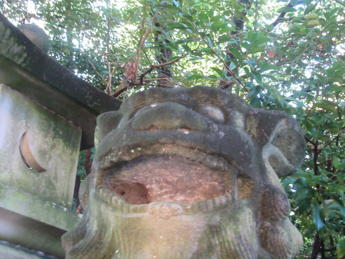 熊本県熊本市東区の健軍神社で撮影した、狛犬さん。