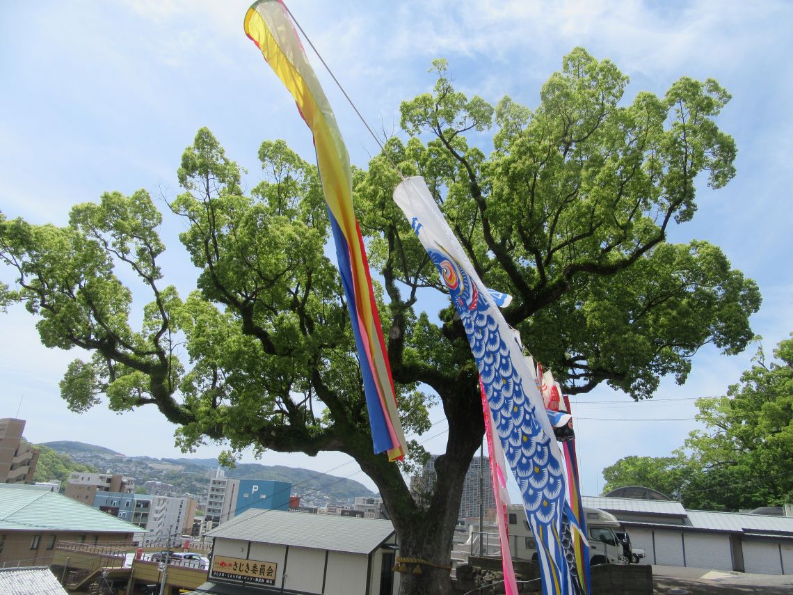 鯉のぼり
