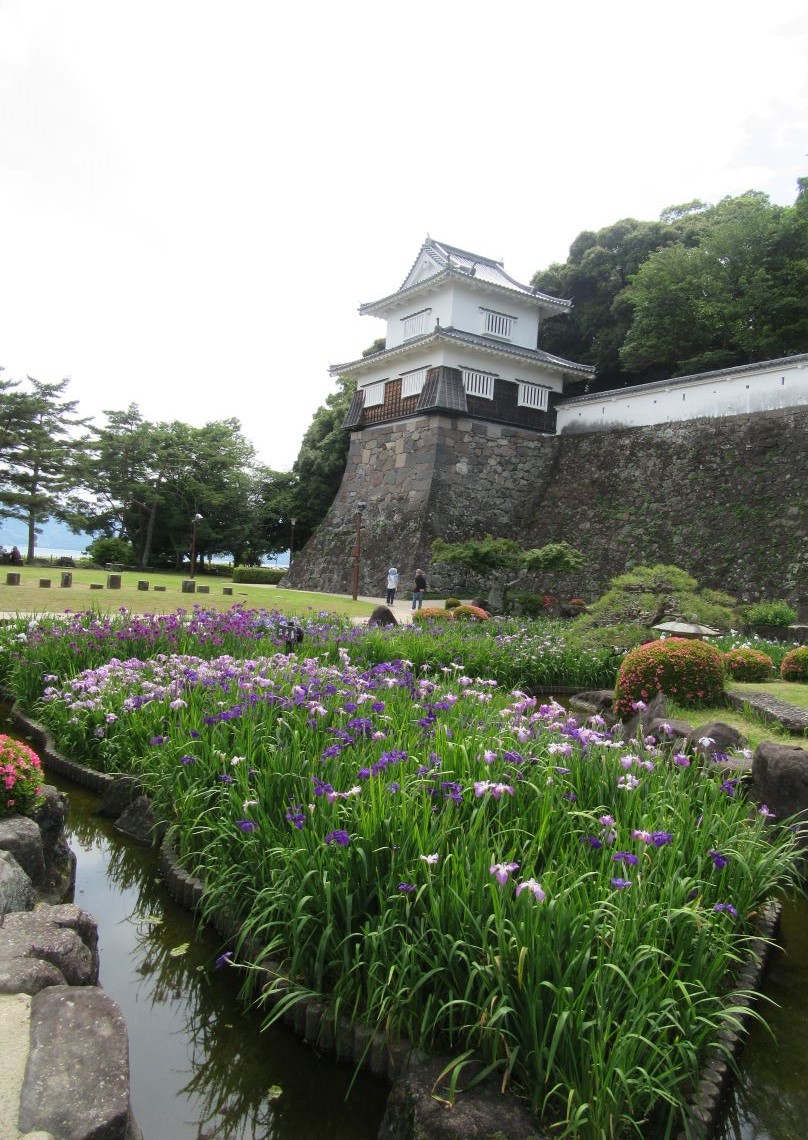 長崎県大村市の大村公園で撮影した、玖島城(大村城)跡と花菖蒲。