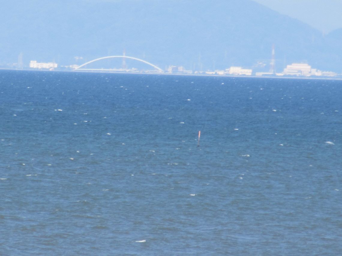佐賀県藤津郡太良町にある道の駅太良の展望台から見える、有明海の向こう岸の福岡県大牟田市の諏訪川橋と思われる橋。