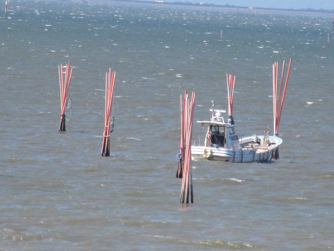佐賀県藤津郡太良町にある道の駅太良の展望台から見える、海苔の養殖と思われる風景。