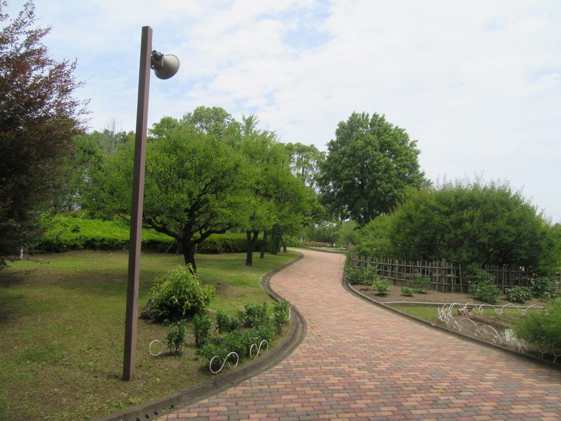 熊本市動植物園で撮影した、雰囲気のある道。