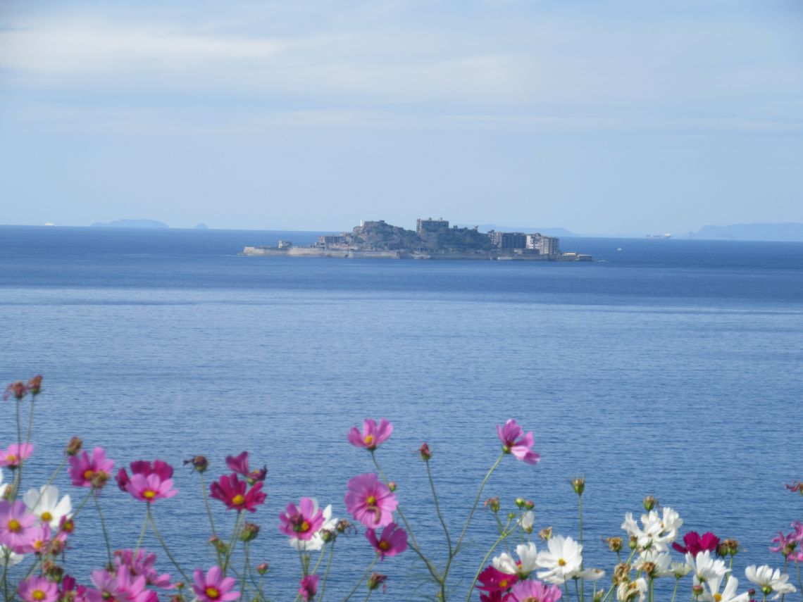 ドラマ『海に眠るダイヤモンド』最終回のシーンを再現した『一島一家のコスモス畑』。