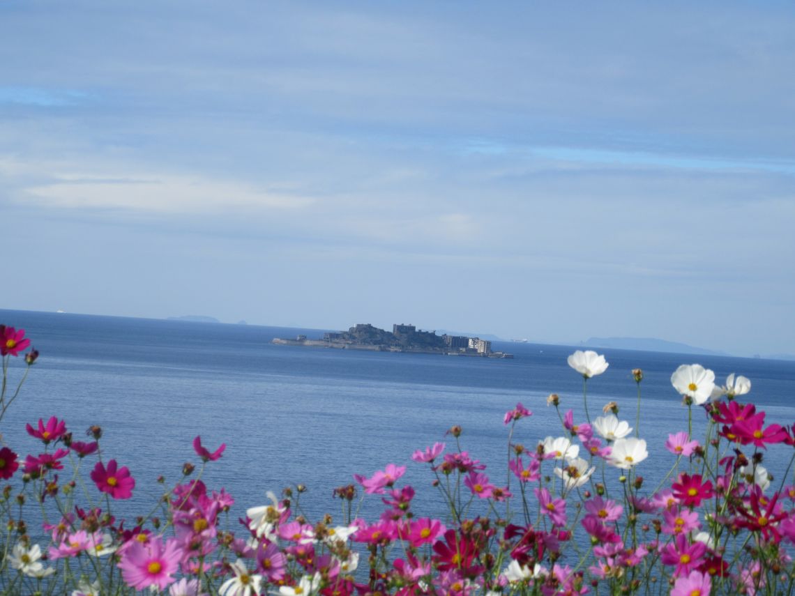 ドラマ『海に眠るダイヤモンド』最終回のシーンを再現した『一島一家のコスモス畑』。