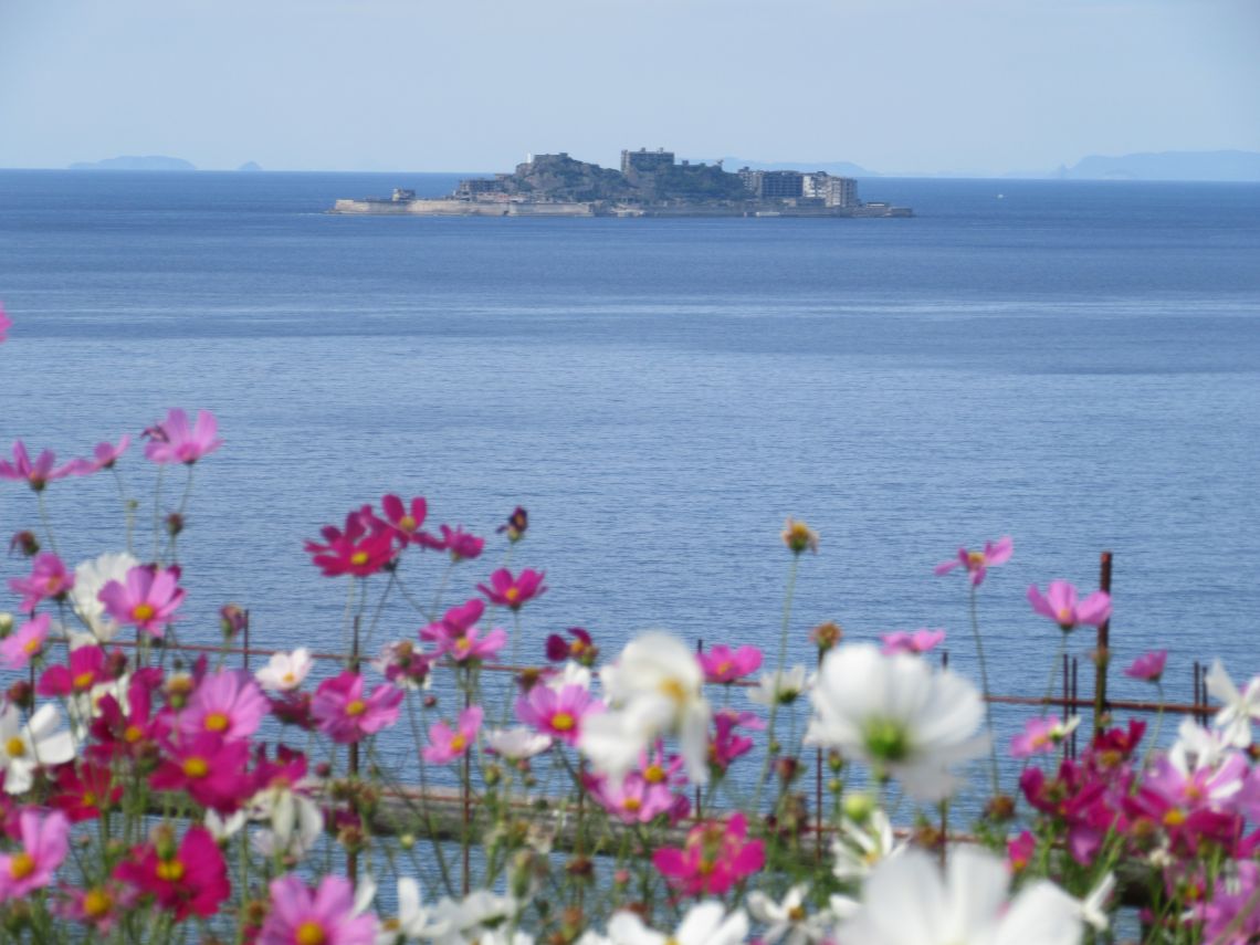 ドラマ『海に眠るダイヤモンド』最終回のシーンを再現した『一島一家のコスモス畑』。