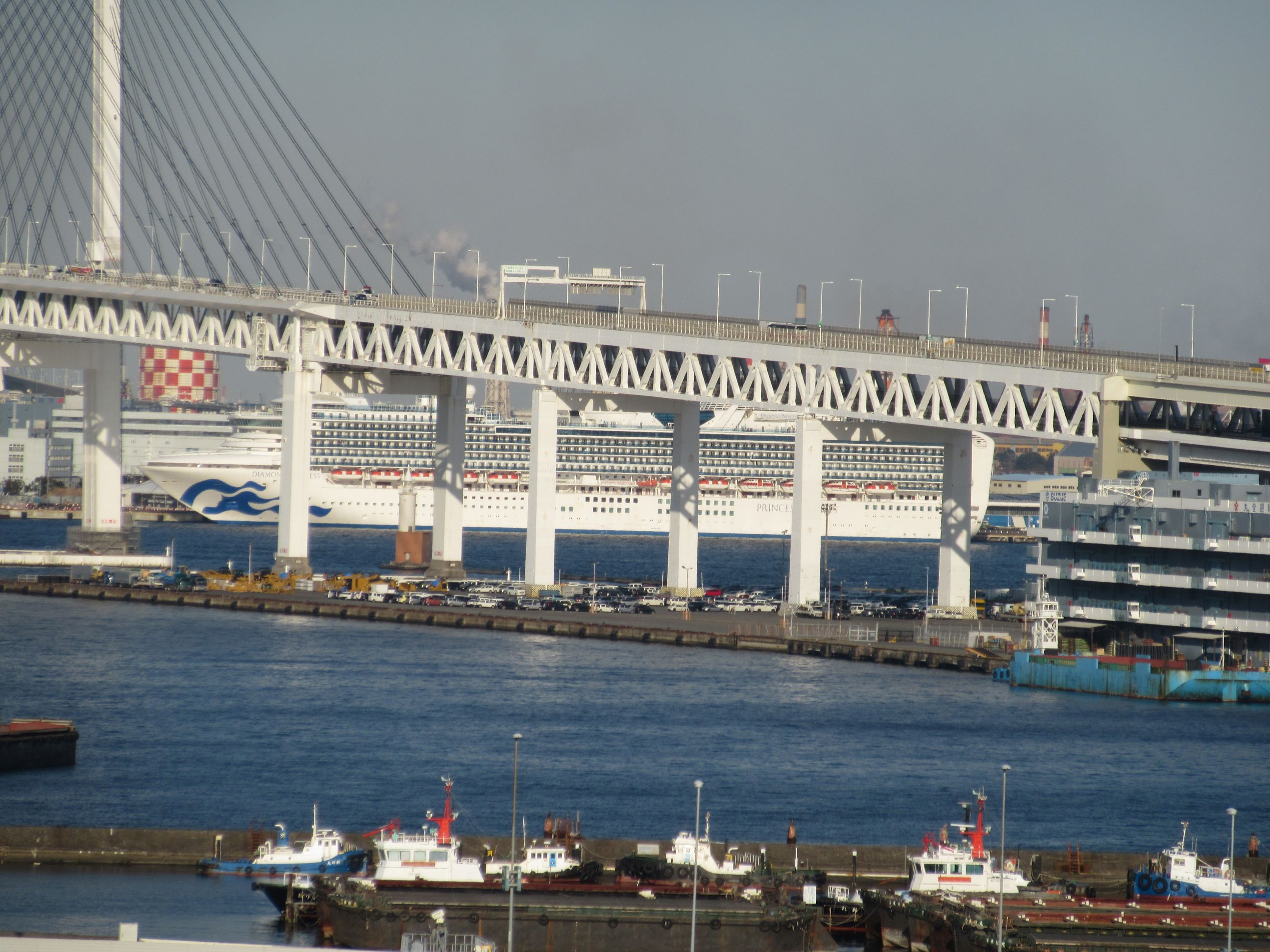 神奈川県横浜市にて2020年に撮影したダイヤモンド・プリンセスです。