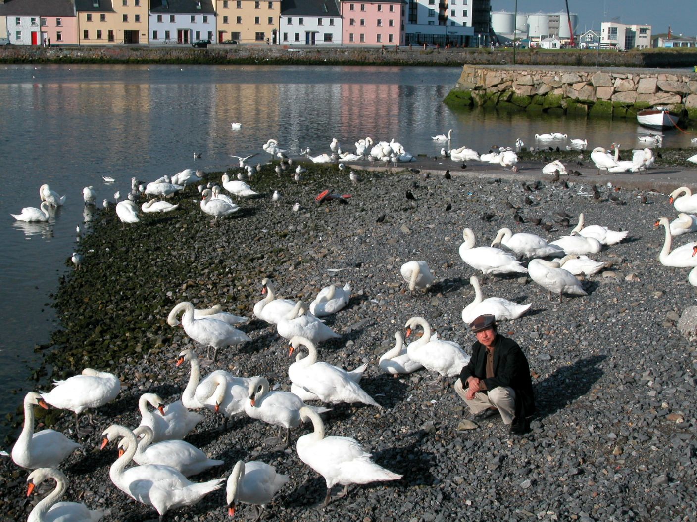 日本におけるロレンス研究の第一人者・井上義夫