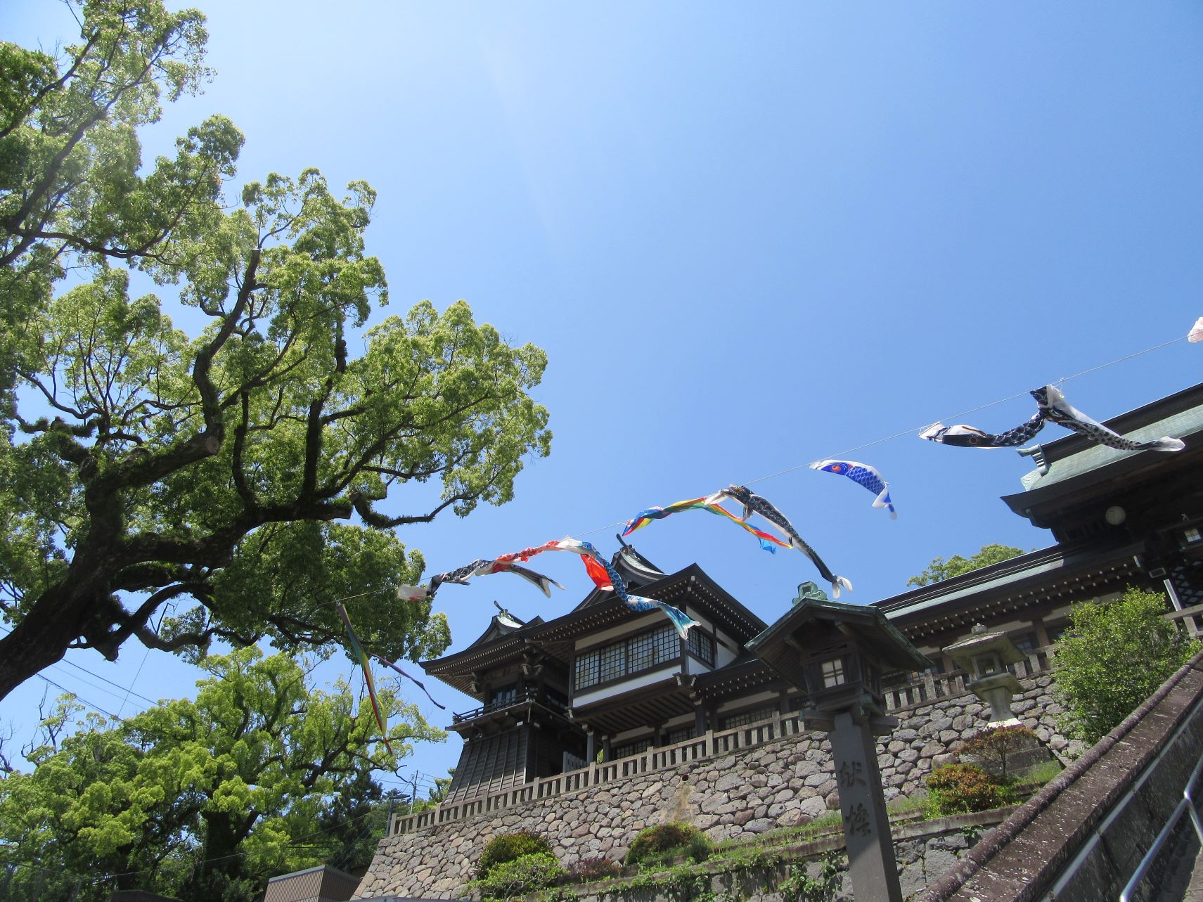 長崎県長崎市・諏訪神社の鯉のぼり。
