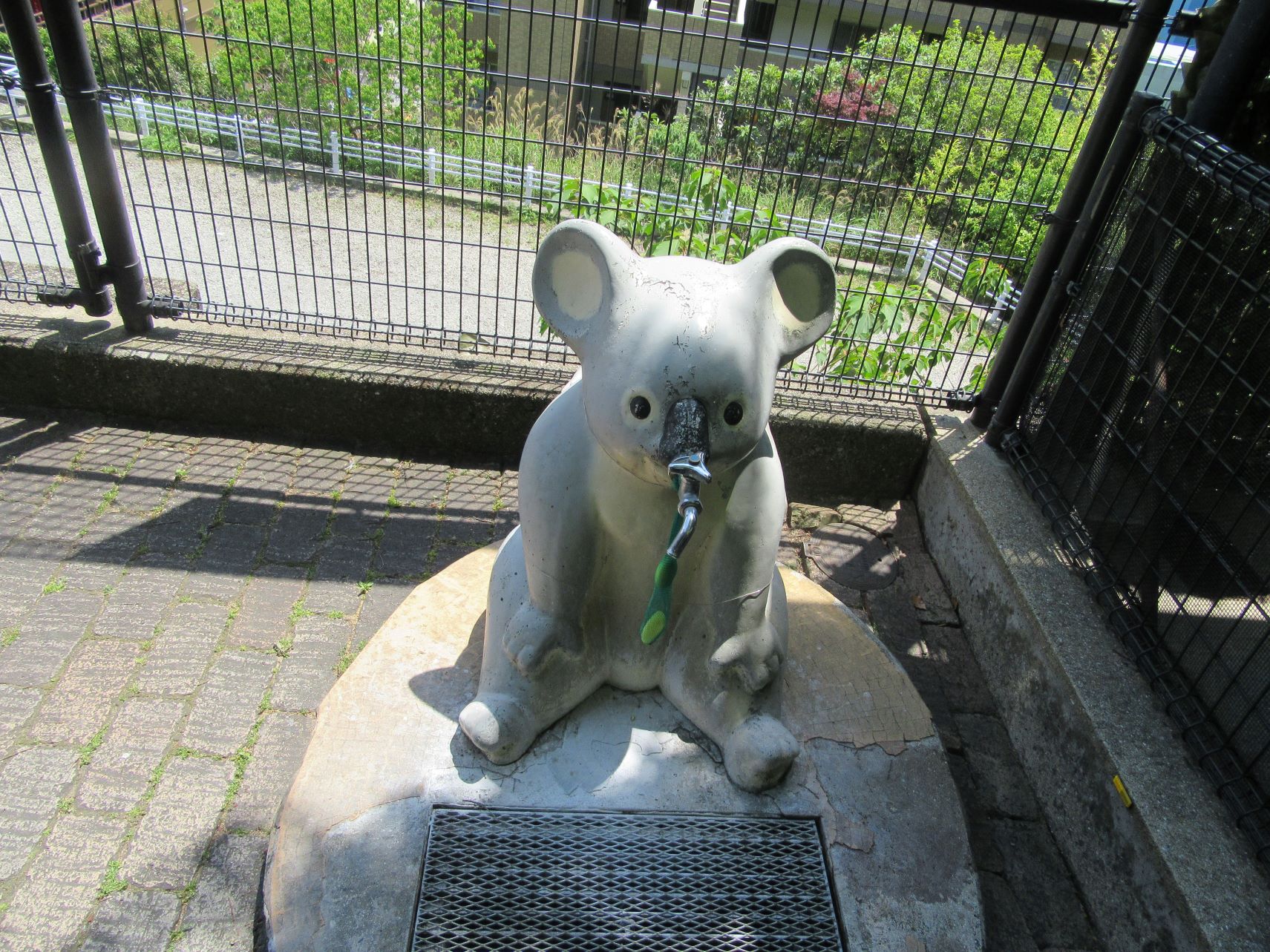 長崎県長崎市・どうぶつひろばのコアラ型の水道。