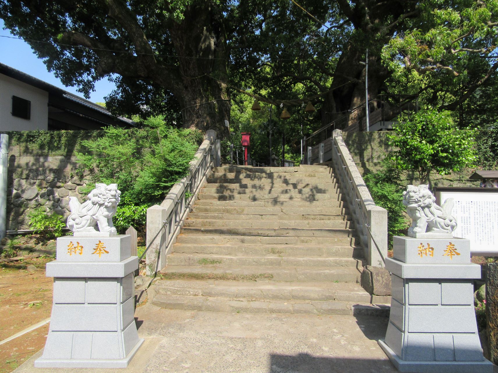 長崎市の山王神社の狛犬と、被爆クスノキ。