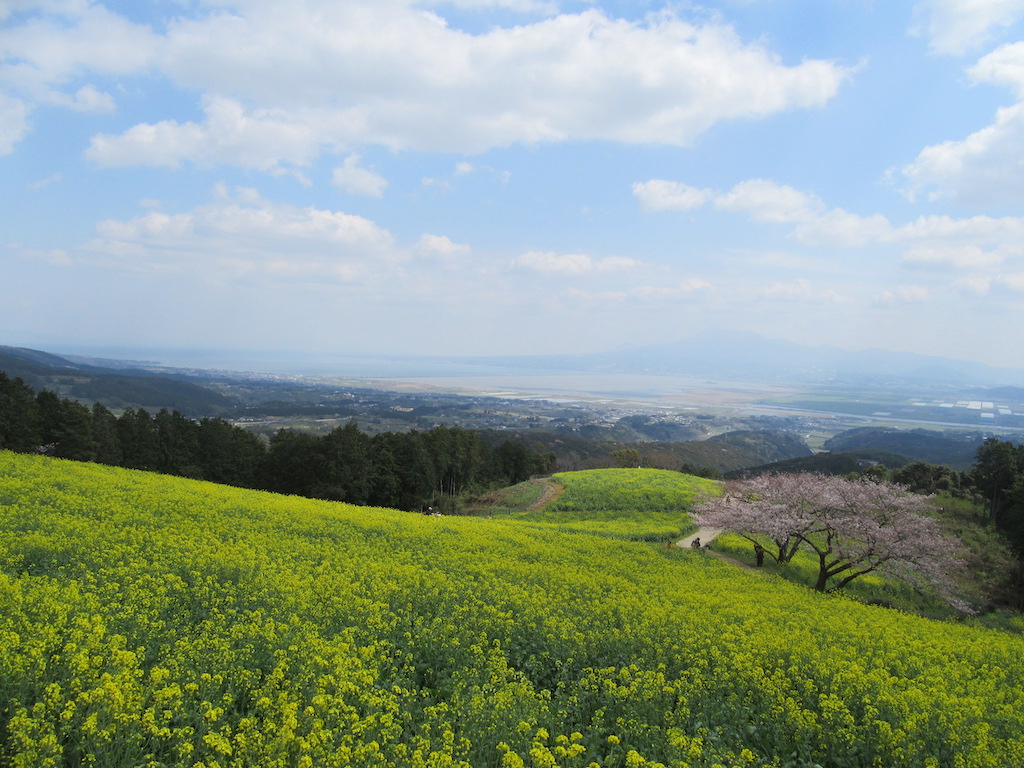 slider_image2